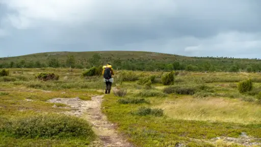 Wanderer auf Kuivi Trail ein einzelner Wanderer mit Trekkingrucksack in weiter Fjelllandschaft bei bewölktem Himmel