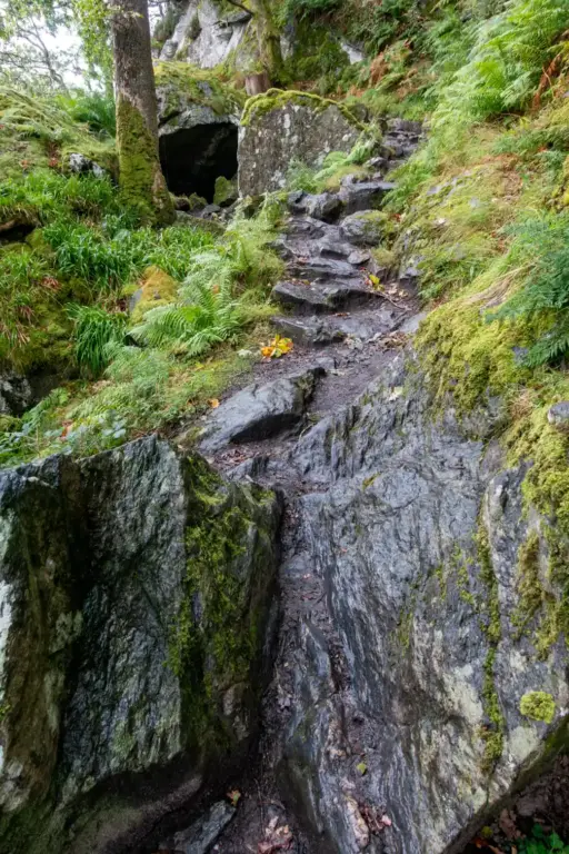 felsiger und nasser Aufstieg am Loch Lomond ein schmaler, nasser, Steinweg in saftigem Grün. Am Anfang ein hoher felsiger Absatz.