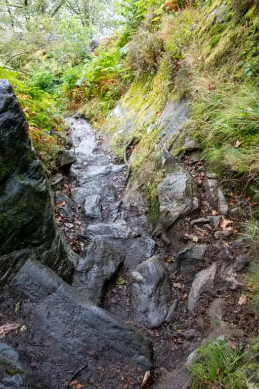 rutschiger Abstieg am Loch Lomond ein schmaler rutschiger Abstieg auf nassen Steinen