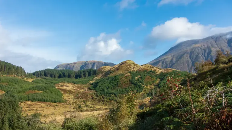 Pfad in Richtung Ben Nevis (im Hintergrund) ein schmaler Bergpfad durch teils bewaldete und verbuschte Highlands, im Hintergrund mehrere Bergketten