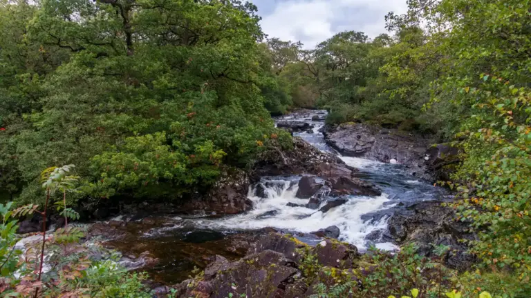 Stromschnellen des River Falloch am West Highland Way Ein wilder, schäumender Fluss bahnt sich seinen Weg über dunkle Felsen inmitten eines dichten, grünen Waldes unter wolkenverhangenem Himmel in den schottischen Highlands.