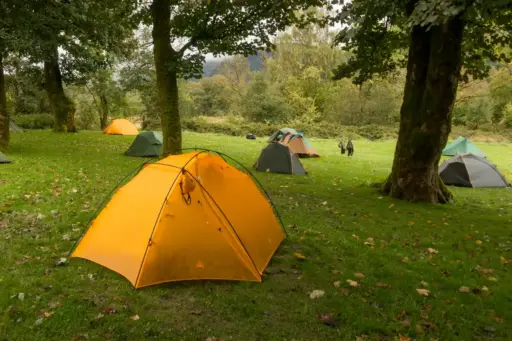 Zelten auf dem Farm-Campsite Beinglas viele bunte 1-2 Personen-Zelte auf einer saftig grünen Wiese mit vereinzelten Bäumen